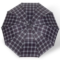 Зонт механический &laquo;Клетка&raquo;, 4 сложения, 10 спиц, R = 52/60 см, D = 120 см, цвет МИКС