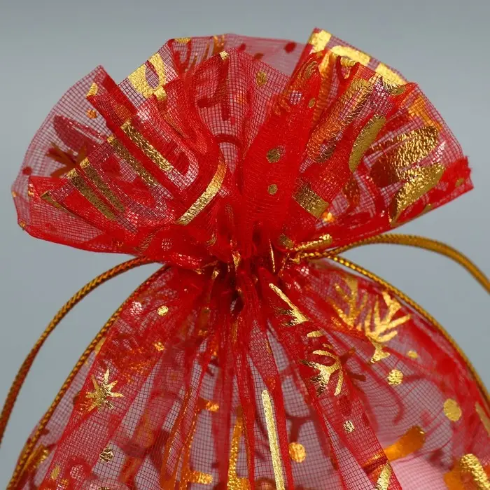 Мешочек подарочный органза &laquo;Happy new year&raquo;, 16 х 24 см +/- 1.5 см