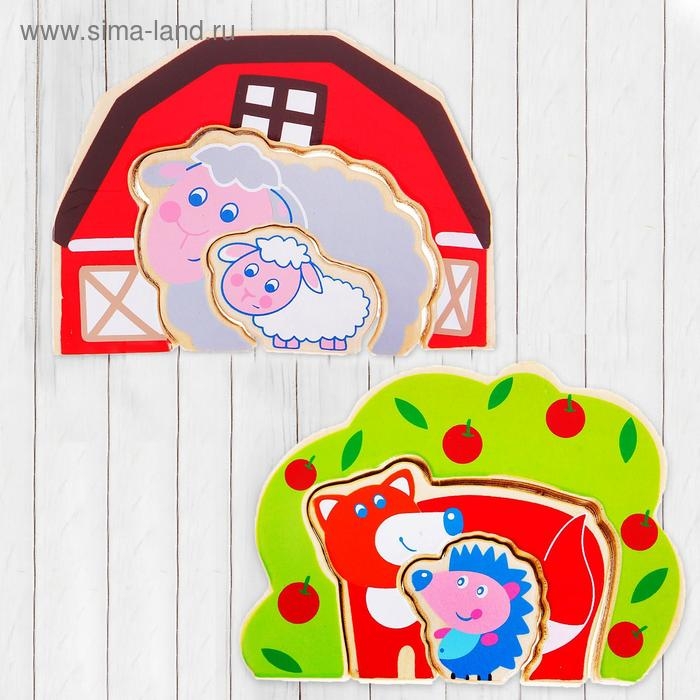 Вкладыш - головоломка, 3 элемента, виды МИКС