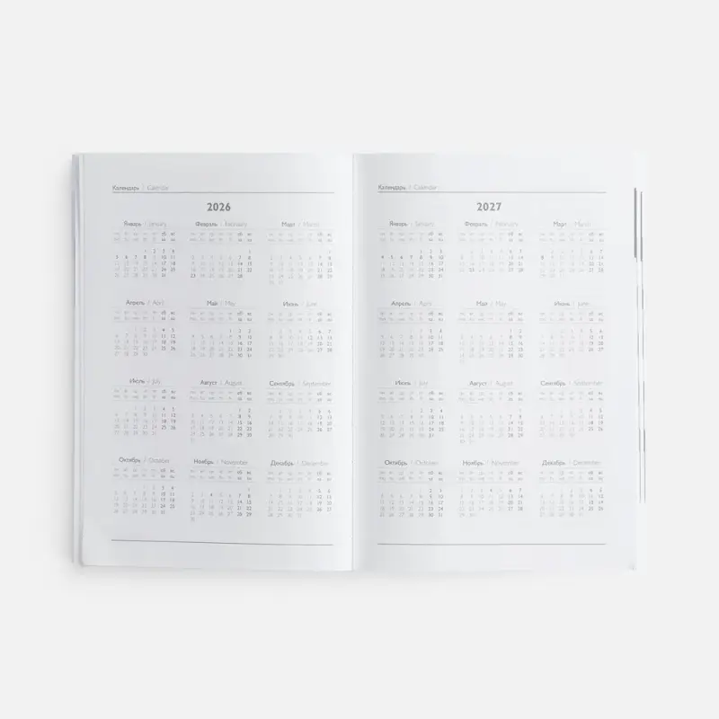 Ежедневник Baza, датированный, красный