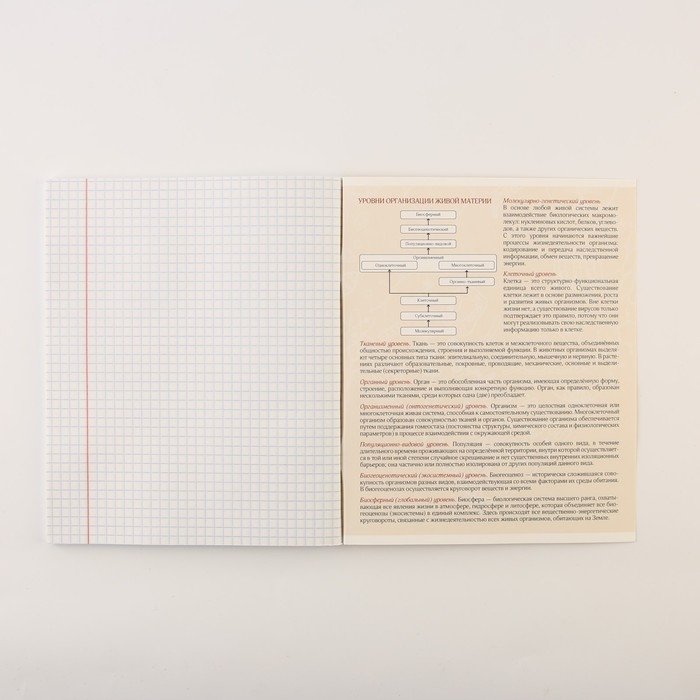 Набор тетрадей А5, 48 л "КОТэ" биология, физика, химия