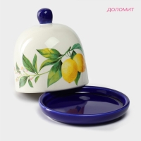 Лимонница Доляна &laquo;Лимон&raquo;, 9&times;9 см