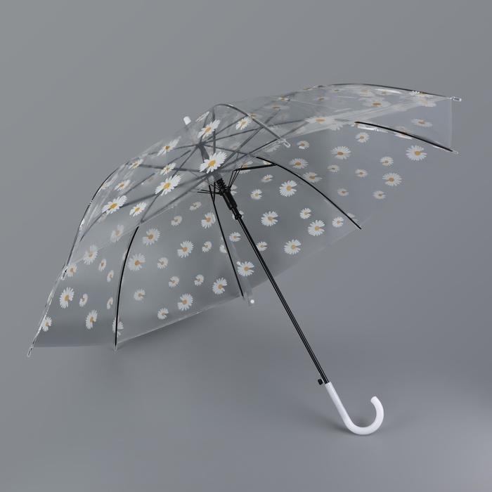 Зонт - трость полуавтоматический &laquo;Ромашка&raquo;, 8 спиц, R = 45/55 см, D = 110 см, цвет прозрачный/белый