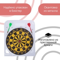 Дартс, мишень диаметром 22 см, 2 дротика