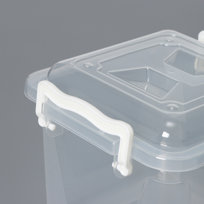 Контейнер для хранения с крышкой, 4 л, 19,5&times;19,5&times;17,5 см, цвет прозрачный