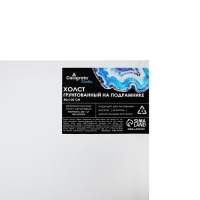 Холст на подрамнике 1,6х80х100 см, хлопок 100%, акриловый грунт, мелкозернистый, 280г/м&sup2;