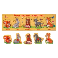 Рамка - вкладыш &laquo;Учим лесных животных&raquo;, 5 элементов