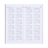 Еженедельник датированный 2025 года, 80х165 мм, 64 листа ESCALADA, мягкая обложка из искусственной кожи, блинтовое тиснение, блок 70 г/м&sup2;, сиреневый