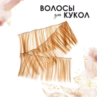 Волосы - тресс для кукол «Прямые» длина волос: 15 см, ширина:100 см, цвет № 27 Волосы - тресс для кукол «Прямые» длина волос: 15 см, ширина:100 см, цвет № 27