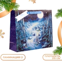 Новый год. Пакет подарочный "Зимняя ночь", люкс, 36 х 32 х 12 см. Новый год. Пакет подарочный "Зимняя ночь", люкс, 36 х 32 х 12 см.