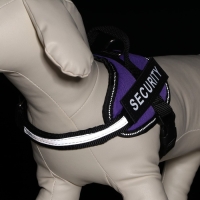 Шлейка К9 мягкая светоотражающая, размер ХS, ОГ 38-50 см, вес 3-6 кг, фиолетовая Шлейка К9 мягкая светоотражающая, размер ХS, ОГ 38-50 см, вес 3-6 кг, фиолетовая