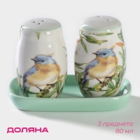 Набор для специй Доляна &laquo;Флора и Фауна&raquo;, 2 предмета: солонка, перечница 80 мл