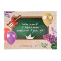 Планшет на Выпускной &laquo;Выпускник начальной школы&raquo;, школьная доска, 21,8 х 30 см