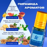 Духи масляные мужские Le blue, 3 мл