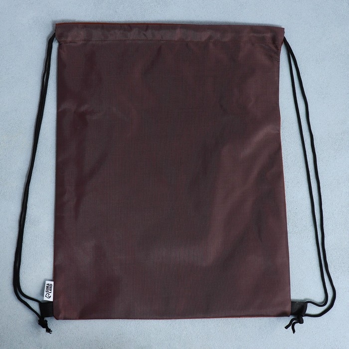 Мешок для обуви «1 сентября: Teddy Bear» с дополнительными элементами, 30 х 40 см Мешок для обуви «1 сентября: Teddy Bear» с дополнительными элементами, 30 х 40 см