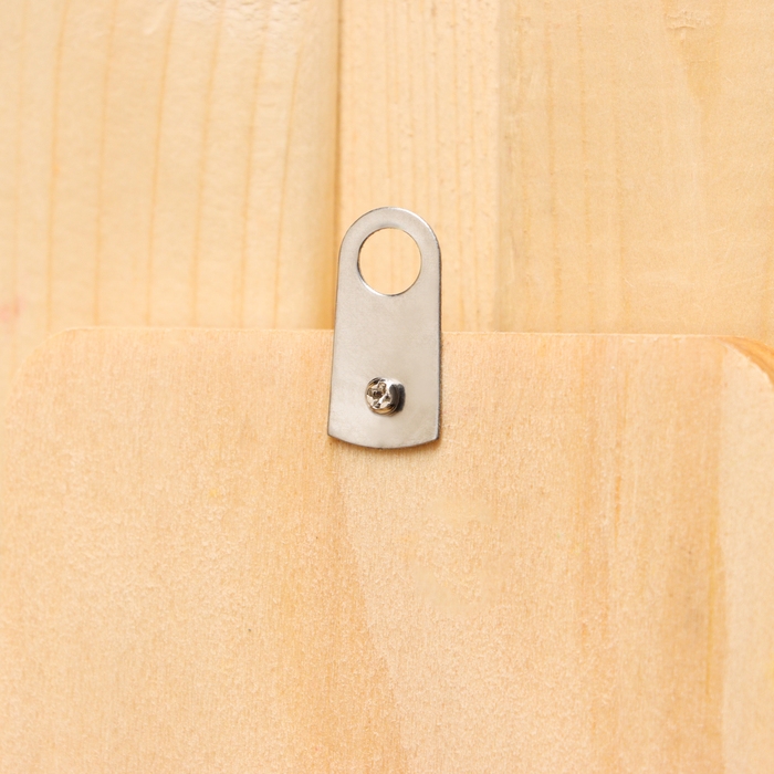 Термометр спиртовой Термометр спиртовой "Бутылка", деревянный 140 С