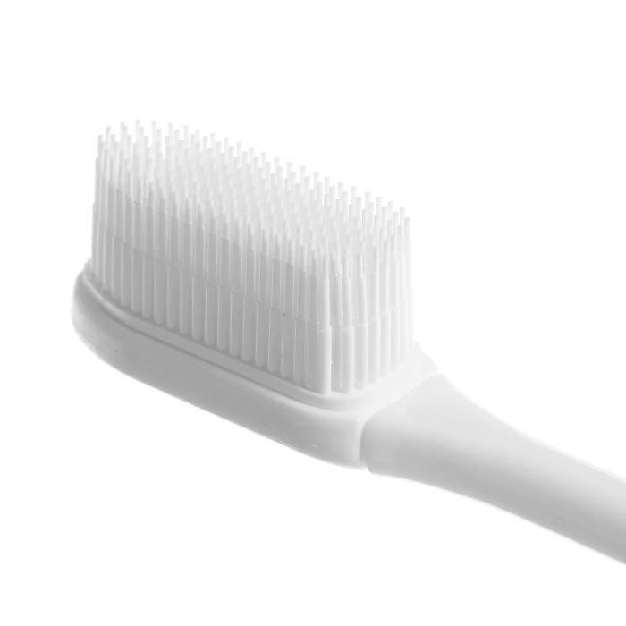 Игровой набор &laquo;Макет челюсти человека&raquo;, 12 &times; 9 см, с щёткой, щётка цвета МИКС