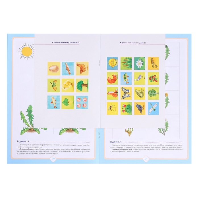 Добро пожаловать в экологию. Рабочая тетрадь №2. 5-6 лет. Воронкевич О.А. Добро пожаловать в экологию. Рабочая тетрадь №2. 5-6 лет. Воронкевич О.А.