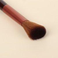 Набор кистей для макияжа &laquo;Рептилия&raquo;, 7 предметов, чехол на кнопке, цвет чёрный