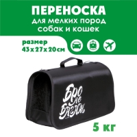 Сумка - переноска раскладная &laquo;Бро не багаж&raquo; 43х27х20 см