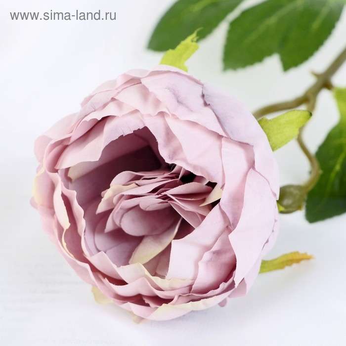 Цветы искусственные Цветы искусственные "Пышный пион" 7х47 см, сиреневый