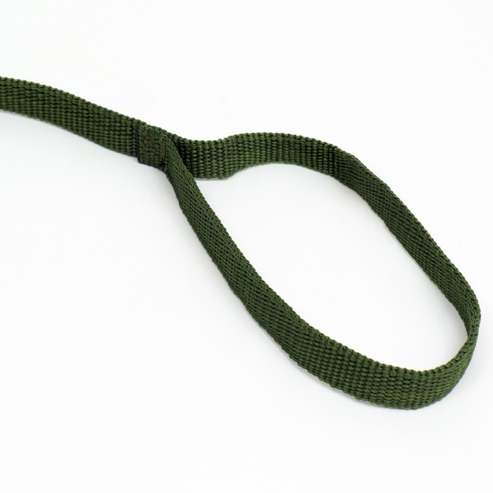 Поводок, 3 м, ширина 1.5 см, зелёный