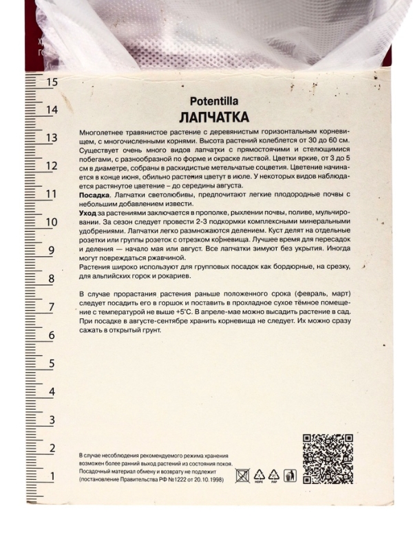 Лапчатка гибридная Монарх Вельвет, р-р I, 1 шт, Весна 2025 Лапчатка гибридная Монарх Вельвет, р-р I, 1 шт, Весна 2025