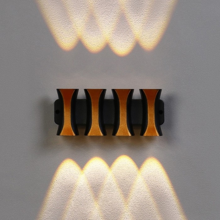 Светильник фасадный &laquo;Элегант&raquo;, FSD-041, 8 Вт, 3000К, 4 луча, IP65, 220 В, пластик, черный