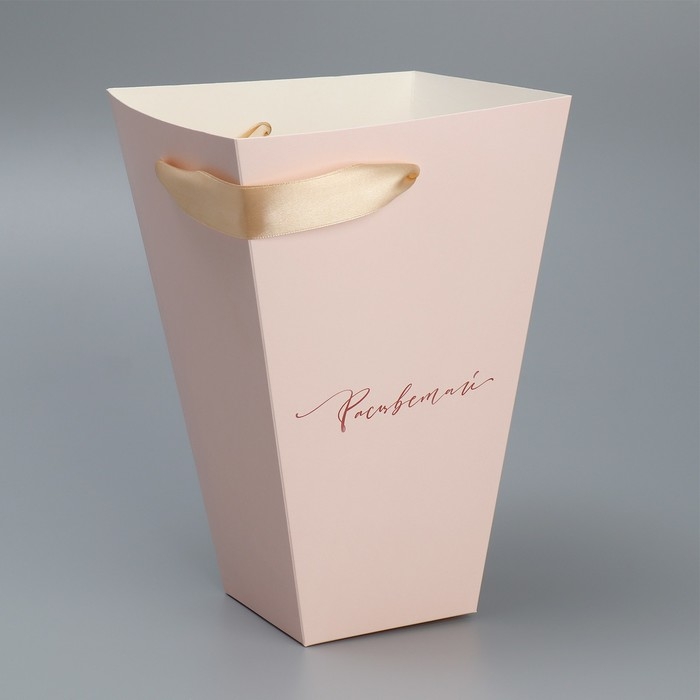 Переноска для цветов на лентах &laquo;Расцветай&raquo;, 17 х 25 х 9 см