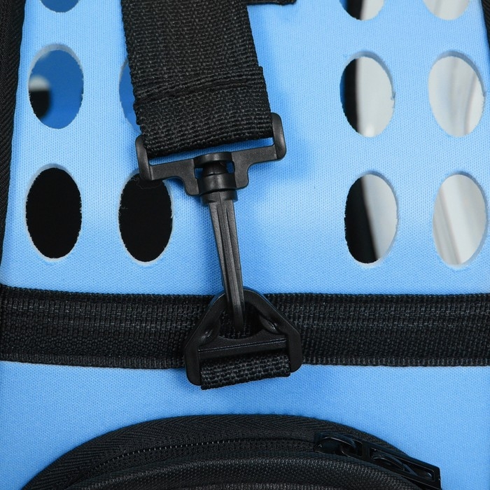 Переноска для животных прозрачная, 42*32*28 см, голубая