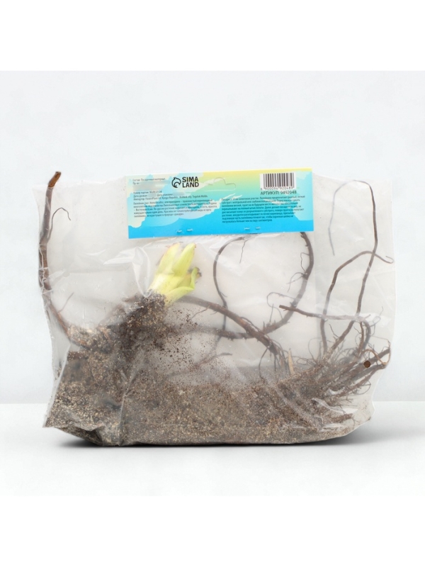 Лилейник Double Pink Wonder, многолетник, корневище в пакете с торфогрунтом, р-р I, 1 шт.