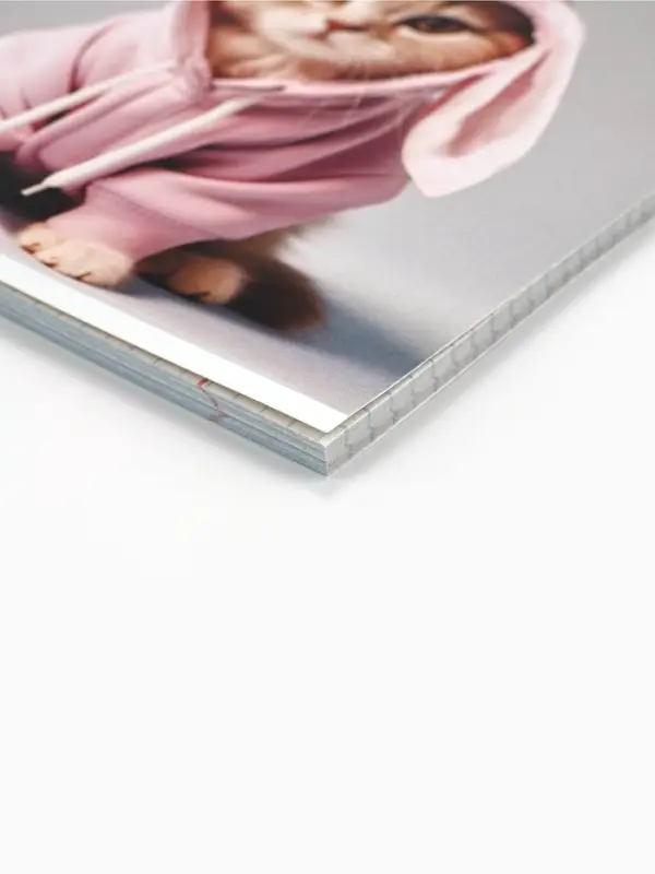 Тетрадь в клетку, 48 л., А5, на скрепке, блок №2 &laquo;Котики&raquo; МИКС