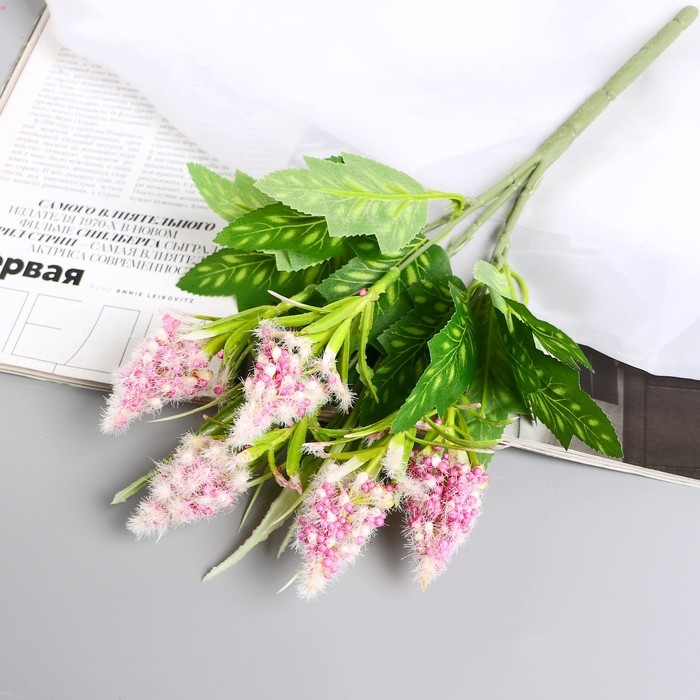 Букет Букет "Пушица мимоза" 30 см, микс