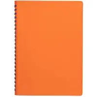 Ежедневник Spring Shall, недатированный, оранжевый