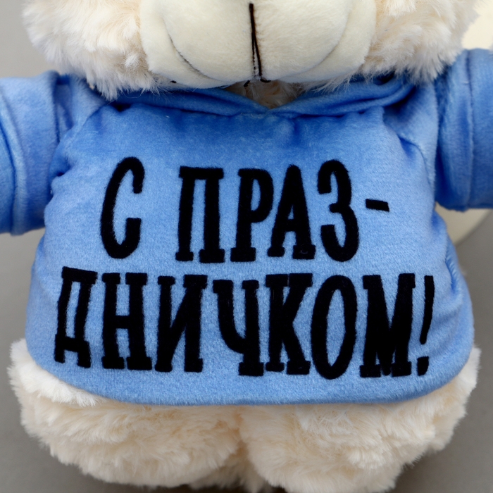 Мягкая игрушка Мишка &laquo;С праздничком!&raquo;, в кофте, 13 см