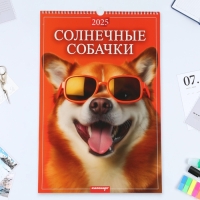 Календарь перекидной на ригеле А3 "Солнечные собачки" 2025, 32 х 48 см Календарь перекидной на ригеле А3 "Солнечные собачки" 2025, 32 х 48 см