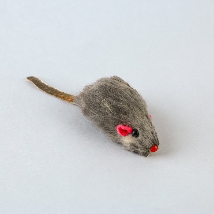 Игрушка для кошек лазер+мышь &laquo;Теперь котик ты&raquo;