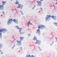 Бумага упаковочная глянцевая &laquo;Нежные цветы&raquo;, 70 х 100 см