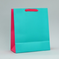 Пакет подарочный двухцветный, упаковка, &laquo;Розовый-голубой&raquo;, ML 23 х 27 х 11.5 см