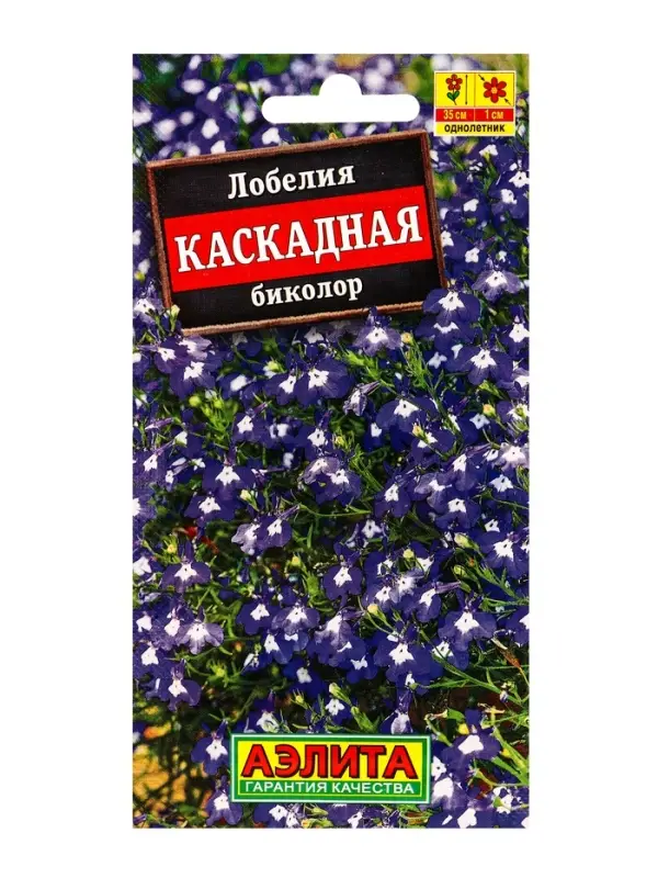 Семена цветов Лобелия каскадная биколор , Ц/П,0,05 г