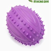 Игрушка жевательная "Граната", TPR, 10 см, фиолетовая