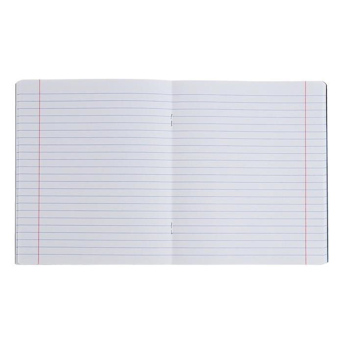 Комплект предметных тетрадей 48 листов, 12 штук, ErichKrause "Manga", мелованный картон, блок офсет белизна 100%, инфо-блок