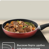 Набор сковород Daily Expert 22 24 см, Франция