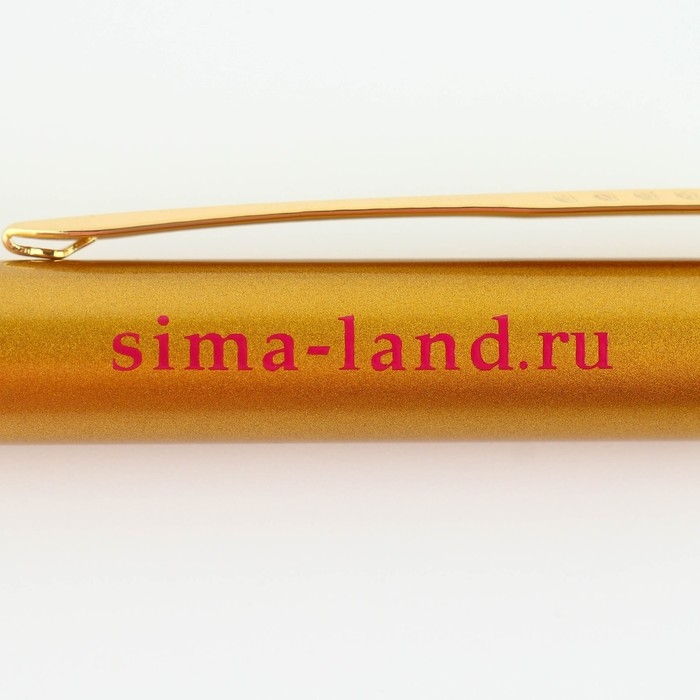 Ручка &laquo;Учителю: Лучший учитель&raquo;, металл, синяя паста, 1.0 мм