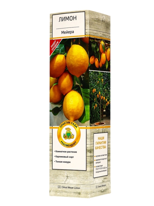 Цитрус "Лимон Мейера", туба, 1 шт, Весна 2025