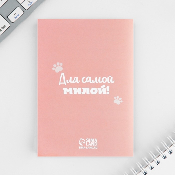 Набор блокнот А6, 32 листа, наклейки, магнитные закладки &laquo;Милый котенок&raquo;