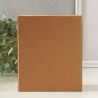 Сувенир полистоун "Дедуля с бабулей - романтичная прогулка" 12х9х12 см