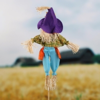 Огородное пугало &laquo;Тыква&raquo;, h = 80 см, МИКС, Greengo