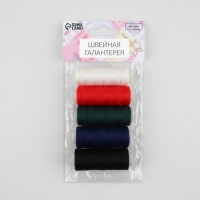 Набор ниток «Базовый», 40/2, 200 м, 5 шт, цвет разноцветный Набор ниток «Базовый», 40/2, 200 м, 5 шт, цвет разноцветный