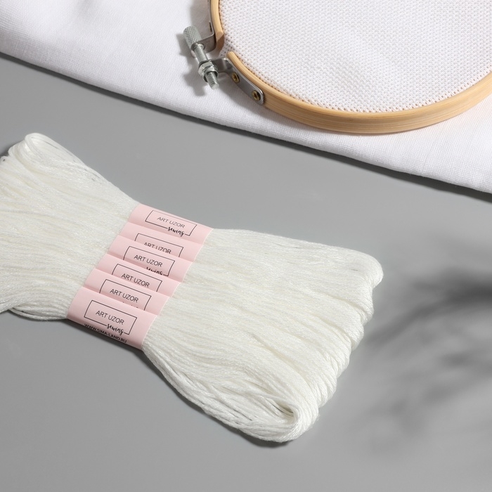 Нитки мулине &laquo;Blanc&raquo;, 8 &plusmn; 1 м, 6 шт, цвет белый